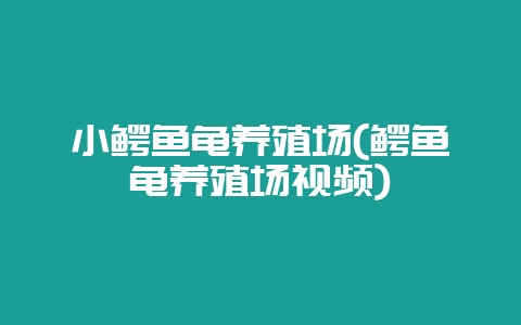 小鳄鱼龟养殖场(鳄鱼龟养殖场视频)-会东网
