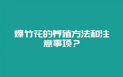 爆竹花的养殖方法和注意事项?-会东网