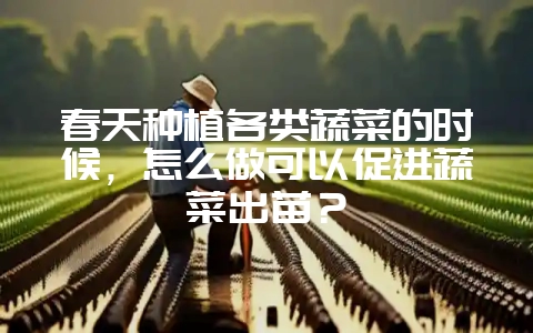 春天种植各类蔬菜的时候，怎么做可以促进蔬菜出苗？-会东网