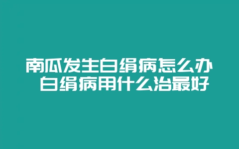 南瓜发生白绢病怎么办 白绢病用什么治最好-会东网