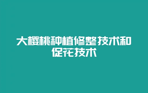 大樱桃种植修整技术和促花技术-会东网