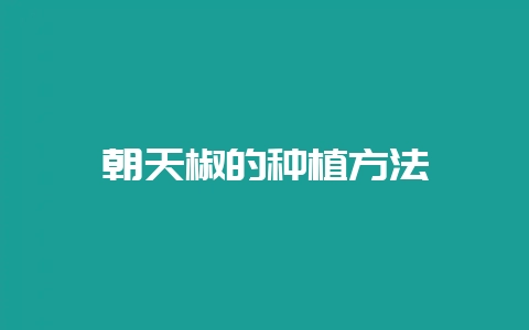 朝天椒的种植方法-会东网