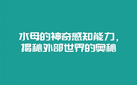 水母的神奇感知能力，揭秘外部世界的奥秘-会东网