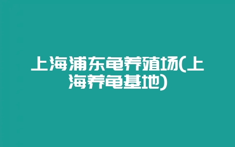 上海浦东龟养殖场(上海养龟基地)-会东网