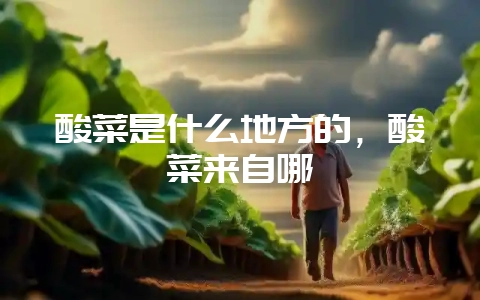 酸菜是什么地方的，酸菜来自哪-会东网