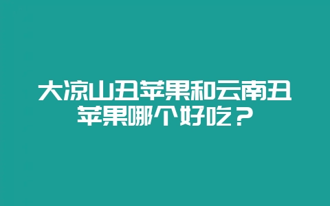 大凉山丑苹果和云南丑苹果哪个好吃？-会东网
