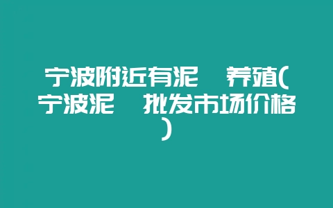 宁波附近有泥鳅养殖(宁波泥鳅批发市场价格)-会东网