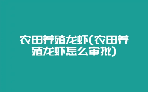 农田养殖龙虾(农田养殖龙虾怎么审批)-会东网