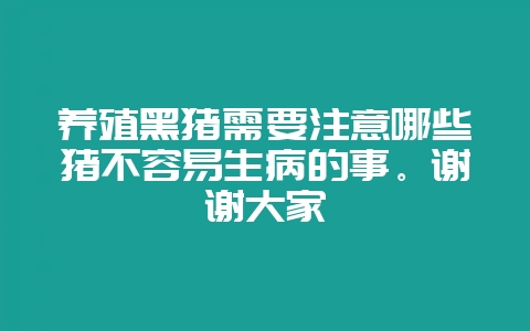 养殖黑猪需要注意哪些猪不容易生病的事。谢谢大家-会东网