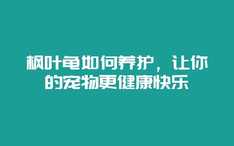 枫叶龟如何养护，让你的宠物更健康快乐-会东网