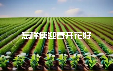 怎样使迎春开花好-会东网