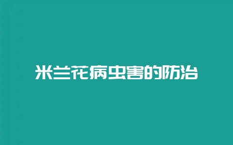 米兰花病虫害的防治-会东网