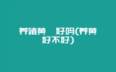 养殖黄鳝好吗(养黄鳝好不好)-会东网