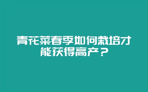 青花菜春季如何栽培才能获得高产？-会东网