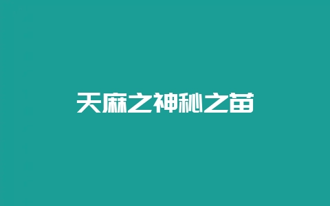 天麻之神秘之苗-会东网