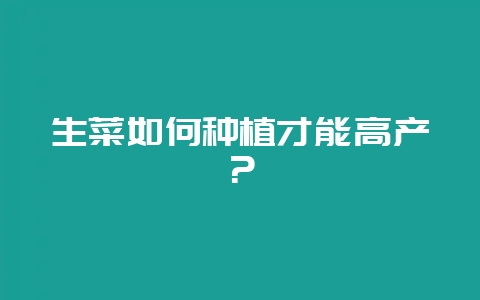 生菜如何种植才能高产？-会东网