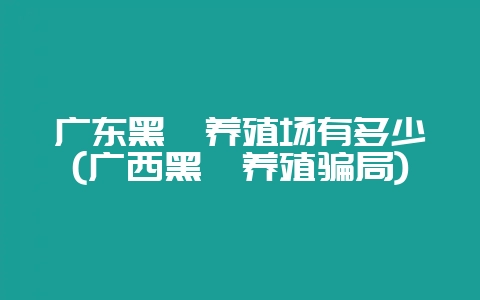 广东黑豚养殖场有多少(广西黑豚养殖骗局)-会东网