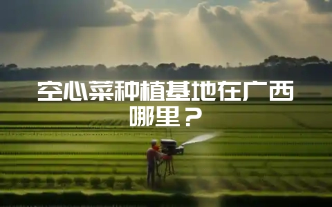 空心菜种植基地在广西哪里？-会东网