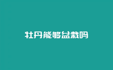 牡丹能够盆栽吗-会东网