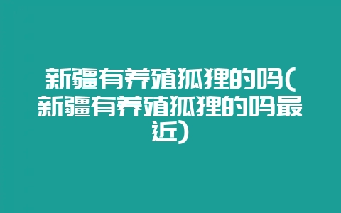 新疆有养殖狐狸的吗(新疆有养殖狐狸的吗最近)-会东网