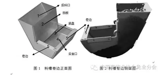 家兔扒料的原因及预防-会东网