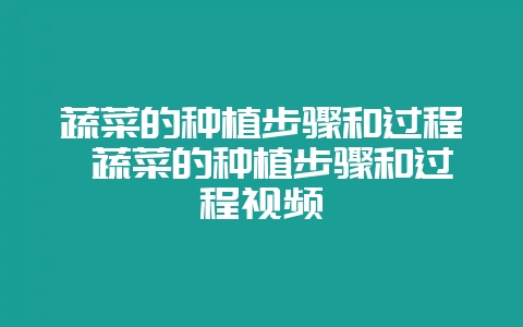 蔬菜的种植步骤和过程 蔬菜的种植步骤和过程视频-会东网