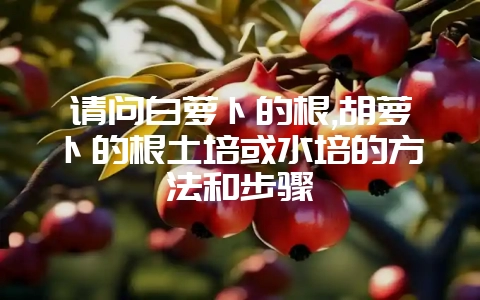 请问白萝卜的根,胡萝卜的根土培或水培的方法和步骤-会东网
