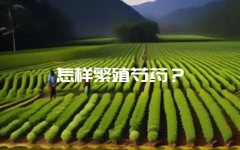怎样繁殖芍药？-会东网