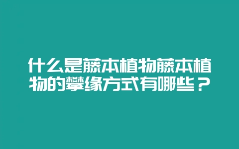 什么是藤本植物藤本植物的攀缘方式有哪些？-会东网