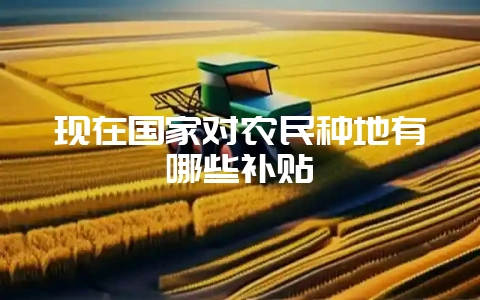 现在国家对农民种地有哪些补贴插图 现在国家对农民种地有哪些补贴插图