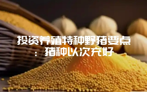 投资养殖特种野猪要点：猪种以次充好-会东网