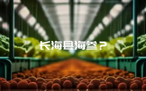 长海县海参？-会东网