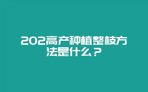 202高产种植整枝方法是什么？-会东网