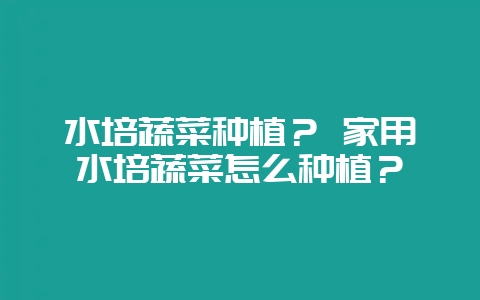 水培蔬菜种植？ 家用水培蔬菜怎么种植？-会东网