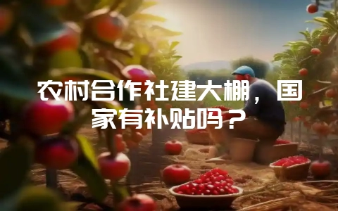 农村合作社建大棚，国家有补贴吗？-会东网
