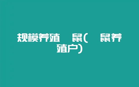 规模养殖豚鼠(豚鼠养殖户)-会东网