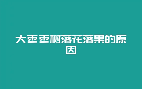 大枣枣树落花落果的原因-会东网