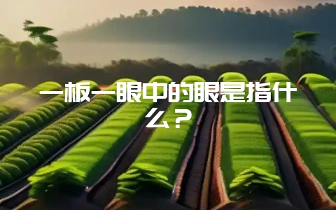 一板一眼中的眼是指什么？-会东网
