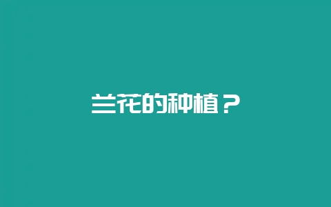 兰花的种植？-会东网