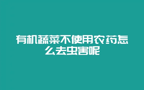 有机蔬菜不使用农药怎么去虫害呢-会东网