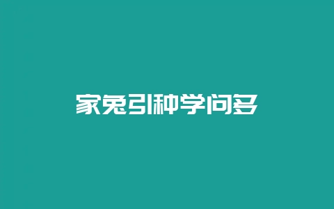 家兔引种学问多-会东网