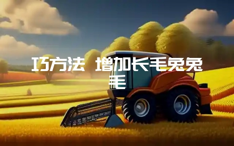 巧方法 增加长毛兔兔毛-会东网