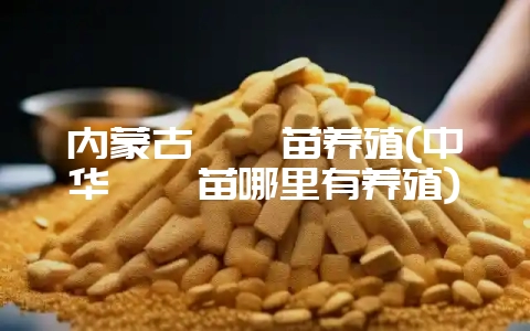 内蒙古鹧鸪苗养殖(中华鹧鸪苗哪里有养殖)-会东网