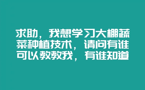 求助,我想学习大棚蔬菜种植技术,请问有谁可以教教我,有谁知道哪里有培训班?-会东网