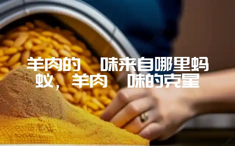 羊肉的膻味来自哪里蚂蚁，羊肉膻味的克星-会东网