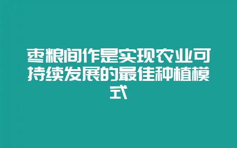 枣粮间作是实现农业可持续发展的最佳种植模式-会东网