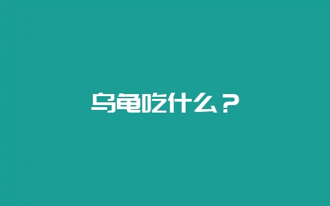 乌龟吃什么？-会东网