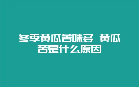 冬季黄瓜苦味多 黄瓜苦是什么原因-会东网