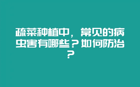 疏菜种植中，常见的病虫害有哪些？如何防治？-会东网