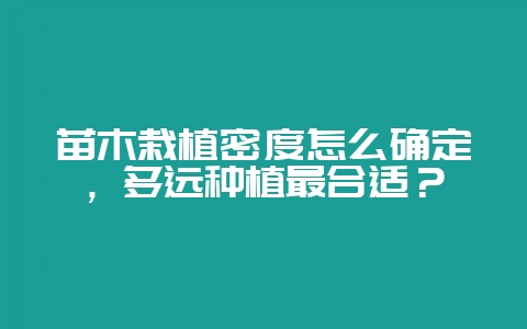 苗木栽植密度怎么确定，多远种植最合适？-会东网